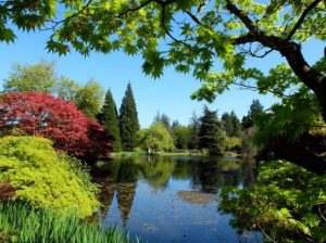 OMCOS 2021 - Vancouver Botanical Gardens